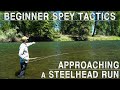 Approaching a Steelhead Run | Beginner Spey Tactics Ep. 1