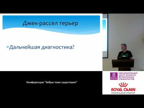 Видео: Функции селезенки, гематома и удаление (спленэктомия) у собак