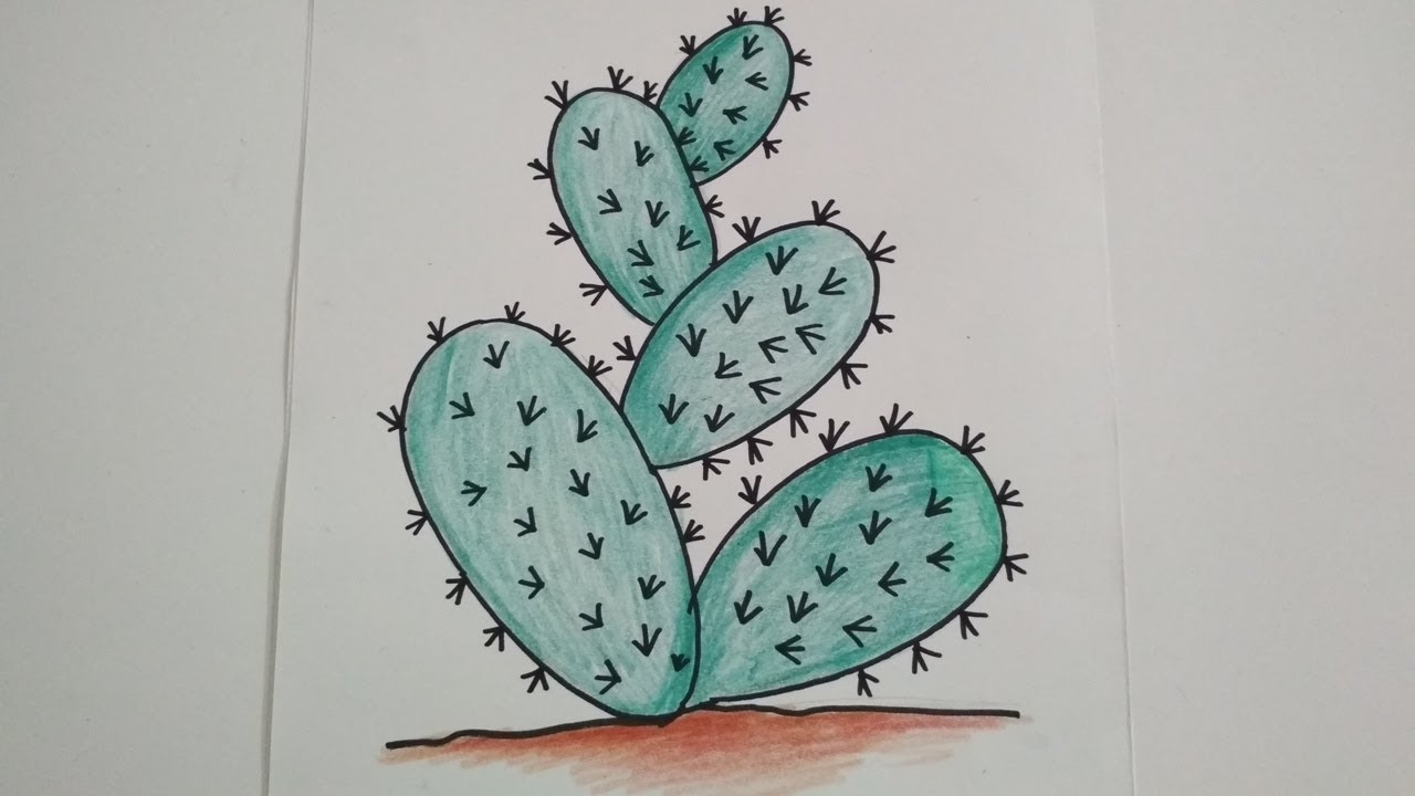 35+ Ide Gambar Sketsa Tanaman Kaktus - Tea And Lead