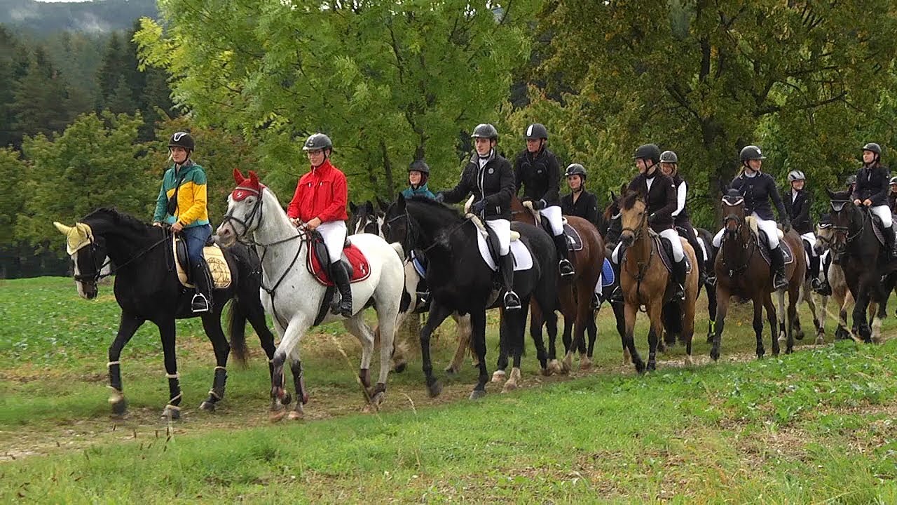 20. Berger Fuchsjagd in Markneukirchen