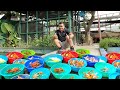 Raising &amp; Harvesting Thousands of Fish!! Why You Shouldn&#39;t Start big in this fish Business