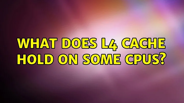 What does L4 cache hold on some CPUs?