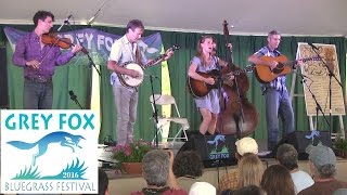 Video thumbnail of "The Gather Rounders - "Make Me a Pallet on the Floor" - Grey Fox 2016"