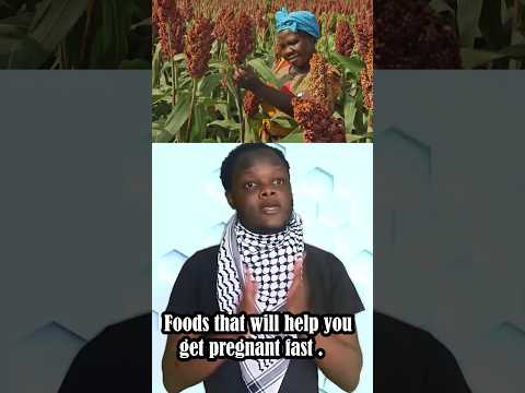 Hivi Ndivyo Vyakula Vya Kusaidia Kupata Kushika Mimba Haraka Jinsi Ya Kubeba Ujauzito Haraka Dawa 