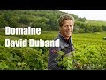 Domaine david duband  bourgogne  millesima