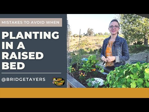 فيديو: Edamame Companion Planting - تعرف على الزراعة المصاحبة مع Edamame