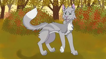 •Albuquerque Anyway | Needletail and Alderheart 72 hour PMV MAP• part 6