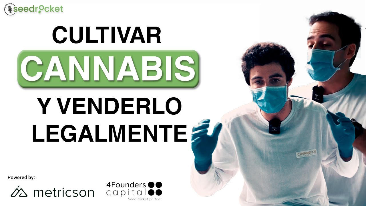 Cómo CULTIVAR CANNABIS y VENDERLO de manera LEGAL con un método ÚNICO | Canamedics