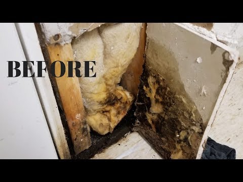 i-found-mold-in-my-basement!---new-insulation,-new-drywall,-new-pretty-paint!---thrift-diving