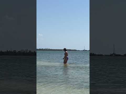 Video: Laporan Perjalanan Pantai Fort Myers dan Pulau Sanibel
