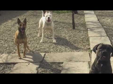 ლოლა ბებო ზრუნავს ბავშვზე