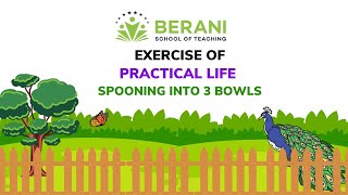 Spooning beans into 3 bowls | Exercise of practical life | presentation