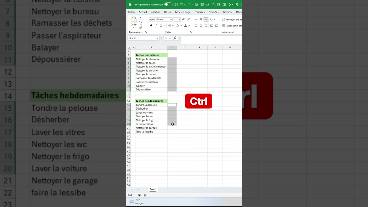 Case  cocher  la nouvelle icne dans Excel