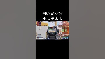 【凄プレ】ゾーンに入ったセンチネルは最強 #apexlegends #apex #センチネル
