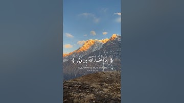 #quran #اكسبلور #تلاوات #حالات_واتس #سورة_المؤمنون #تلاوة #راحة_نفسية #تلاوة_خاشعة #قرآن