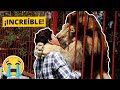 6 Emotivos Reencuentros De Animales Con Sus Dueños😭😭 | PARTE 3