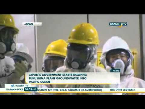 Бейне: Фукусима-1: апат және оның салдары