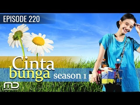 Cinta Bunga - Season 01 | Episode 220 |Terakhir