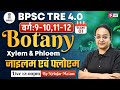 BPSC TRE 4.0 | BPSC TRE 4.0 Botany Classes 2026 | Xylem &amp; Phloem For BPSC Teacher By Nelofar Mam