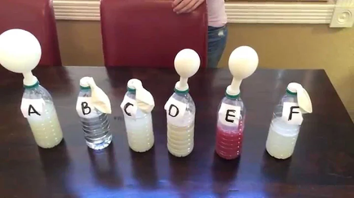 Heidi Gates Yeast Balloon Experiment