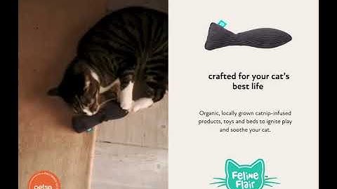 Feline Flair Catnip Infused Cat Toys 