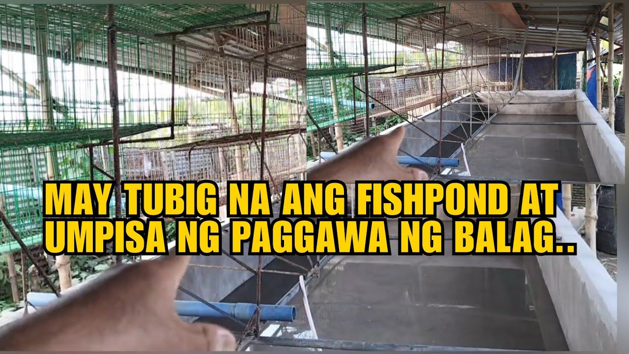 MAY TUBIG NA ANG FISHPOND AT UMPISA NA NG PAGGAWA NG BALAG..