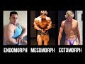 Should You Train & Diet For Your Bodytype? (Ectomorph, Endomorph, Mesomorph)