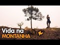 LIMPAMOS O TERRENO PARA CONSTRUIR CABANA DE MADEIRA Família X - Log Cabin Build