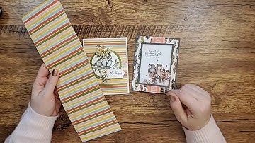 Bird Ballad DSP cards