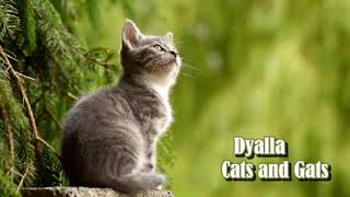Dyalla - Cats and Gats