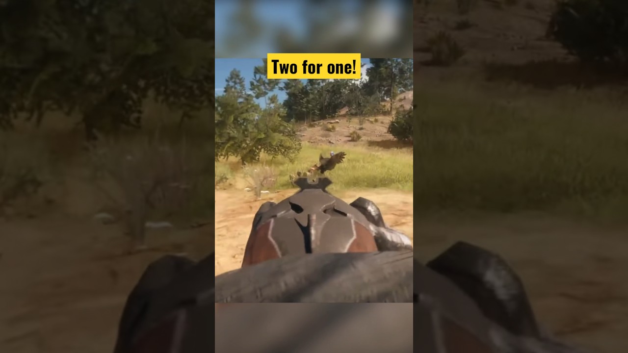 Turkey hunting CoTW thehuntercallofthewild hunting turkeyhunting 