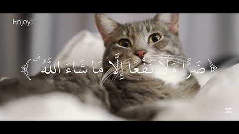 قل لا أملك لنفسي ضرا ولا نفعا الى اي يشاء الله #الحياه#قرآن كريم
