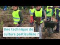 Urban Forest veut remettre la nature dans nos vies - Inspire
