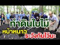 ทำดินใบไม้หน้าหนาว 3ข.36 | คนรักษ์ป่า ep 154