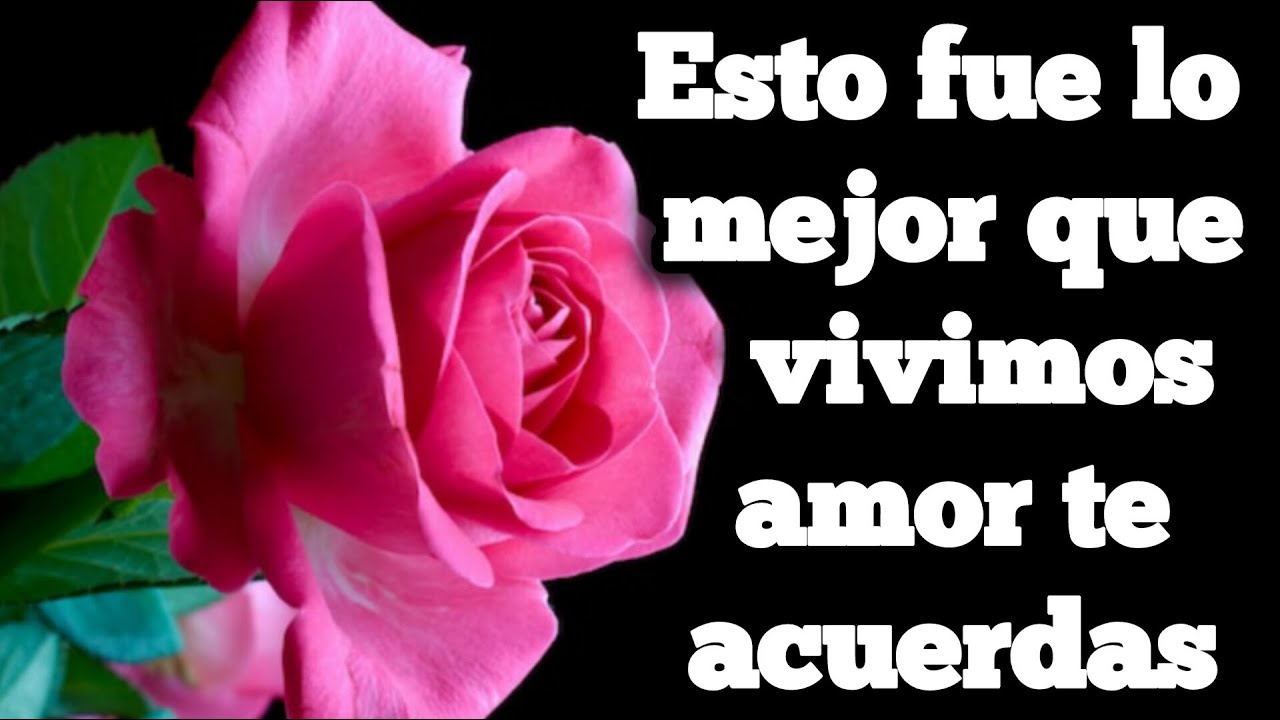 Esto fue lo mejor que tu y yo vivimos amor te acuerdas - YouTube