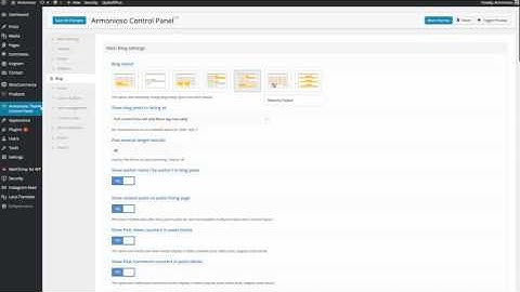 Armonioso - Premium Personal WordPress Blog Theme Admin Panel Video Demonstration