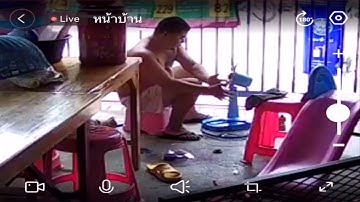 Attention Craving Kitty Keeps Man from Fixing Fan || ViralHog