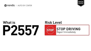 What is P2557 Engine Code [Quick Guide]