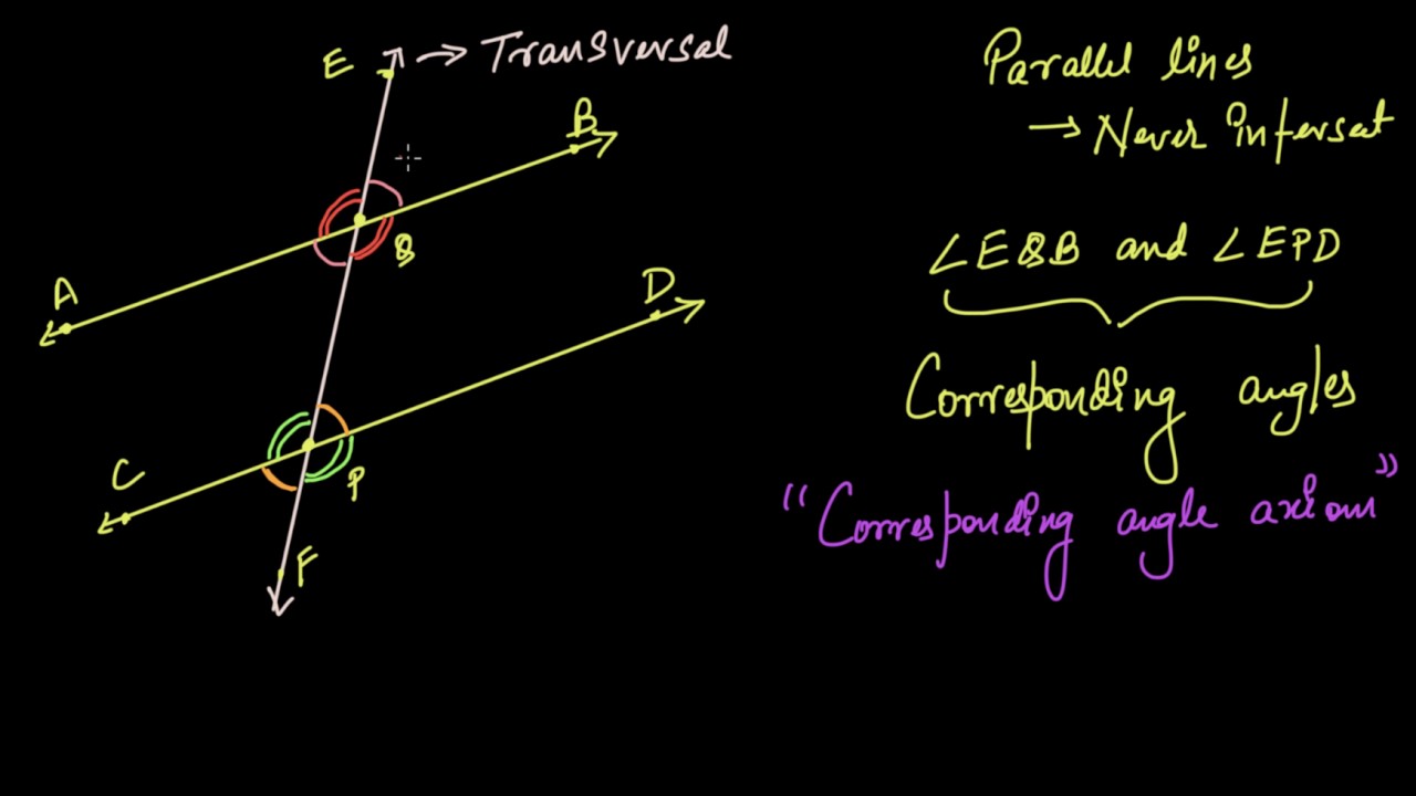 Angles Parallel Lines Transversals Hindi You