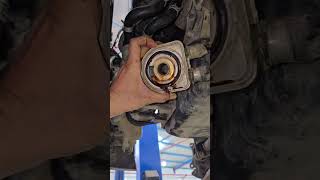 engine oil cooler leaked replacement guide #automotive #mechanic #DIY