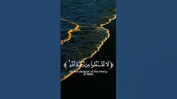 سورة الزمر آية 53