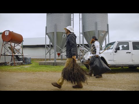 Cooks Venture Plants Expansive Silvopasture Throughout Pasture-Raised Poultry Operation In Northwest Arkansas