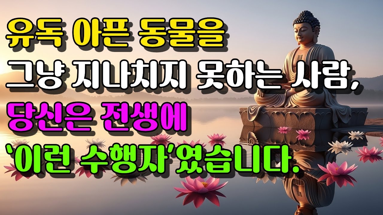 유독 아픈 동물을 그냥 지나치지 못하는 사람, 당신은 전생에 ‘이런 수행자’였습니다 | 부처님말씀 | 석가모니가르침 | 불교철학 | 오디오북