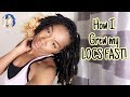 BEST TIPS for LOC GROWTH | Tips on How to Grow Locs fast