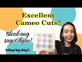 How to Get an Excellent Cut in Cameo 3? | Add Bleed to Solid-Color Designs | Mommy Epi Vlogs