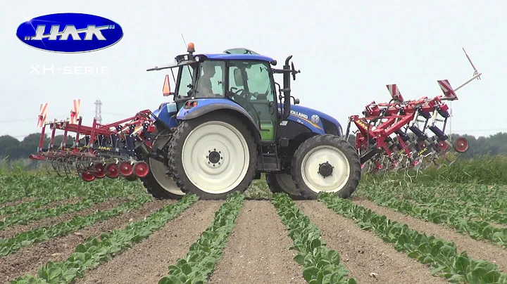 HAK XH-serie spruiten schoffelen bij Gebr. Herbert