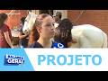 Estudantes da UFS desenvolvem projeto de atendimento clínico gratuito para equinos