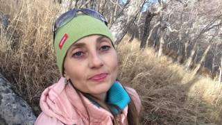 Виноградная диета: отзывы Виноградная диета: отзывы