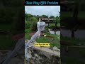 Tata Play LNB Problem_old lnb change#shortvideo