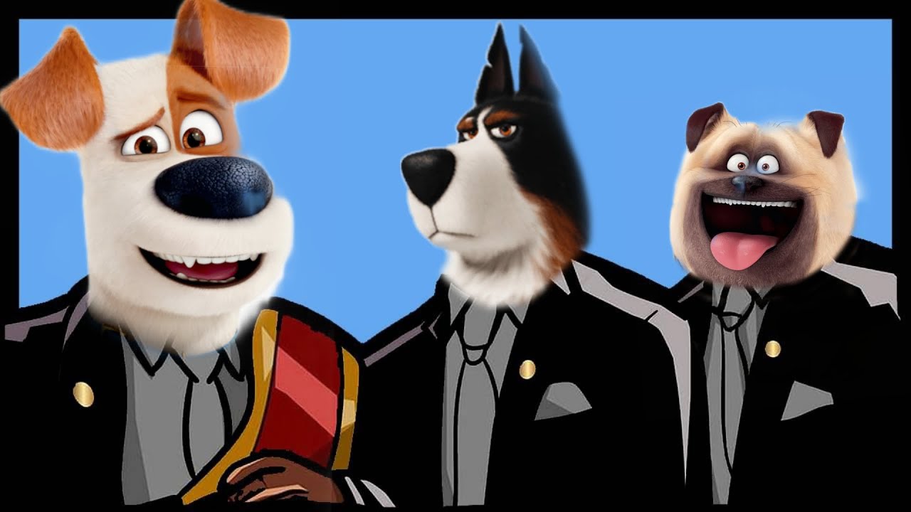 The Secret Life of Pets - Coffin Dance Song (COVER) #2 - YouTube